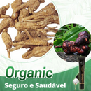 Regrowth™ - Óleo de Crescimento Capilar